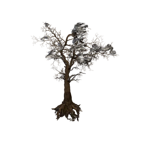 SycamoreTree A Snow