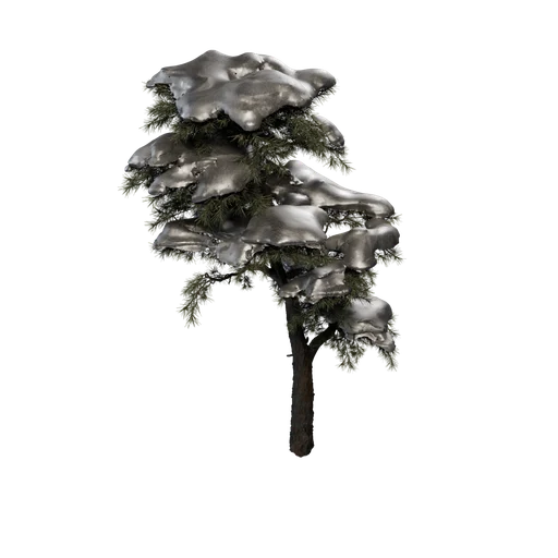 SM HuangshanPine B Snow