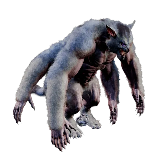 Ferox