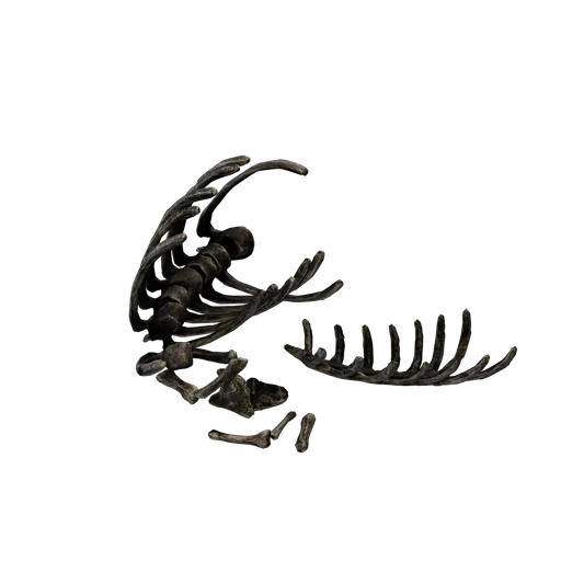SM RexBonePile 5