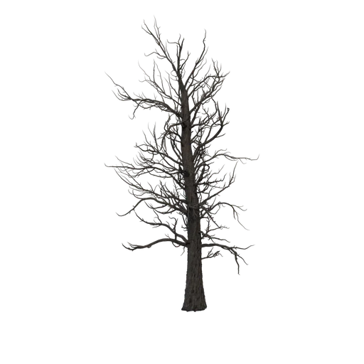 DeadPine 01 Ragnarok