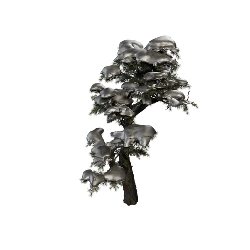SM HuangshanPine D Snow