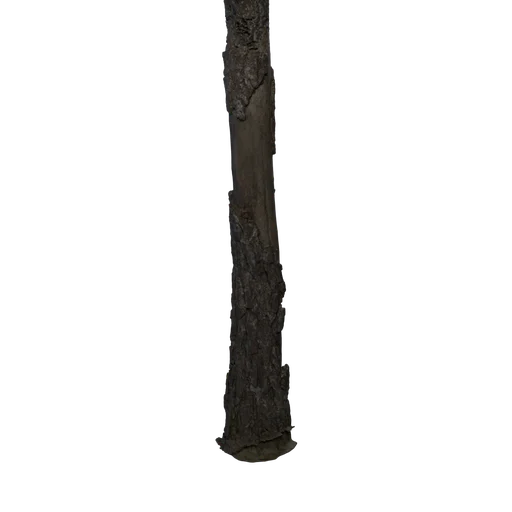 DeadPine 03