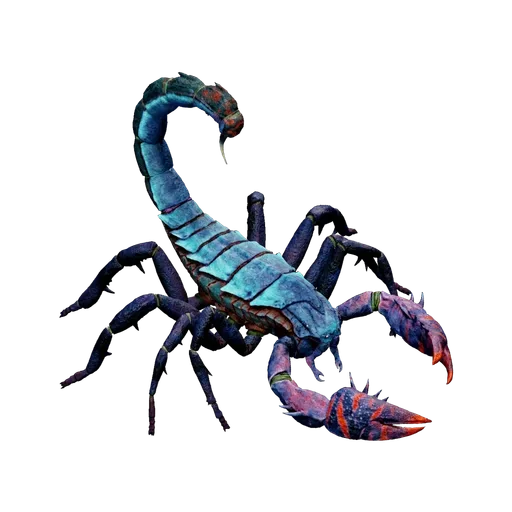 Pulmonoscorpius