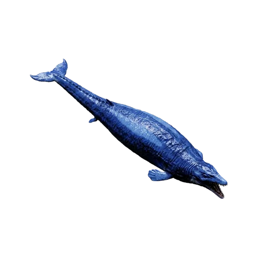 Basilosaurus