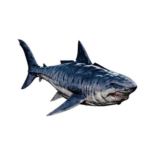 X-Megalodon