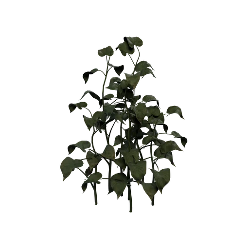 SM FalseLily01