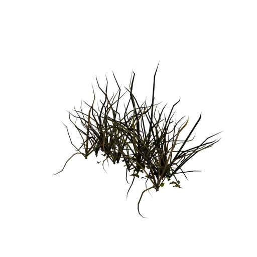 DryGrass SM