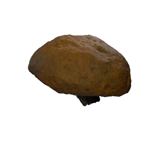 SM TreeF 03