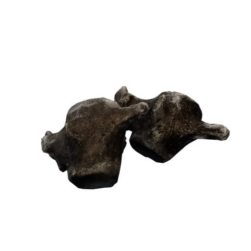 SM RexBonePile 4