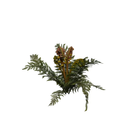 SM CaveFern