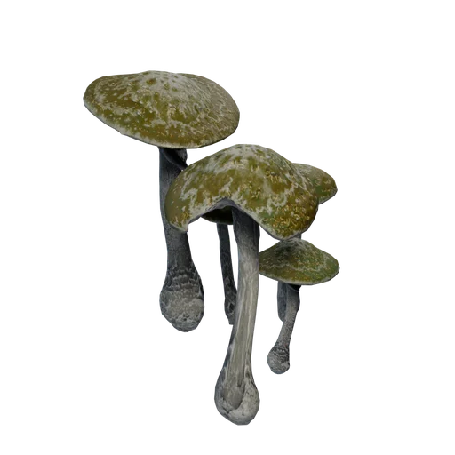 GlowShrooms 01