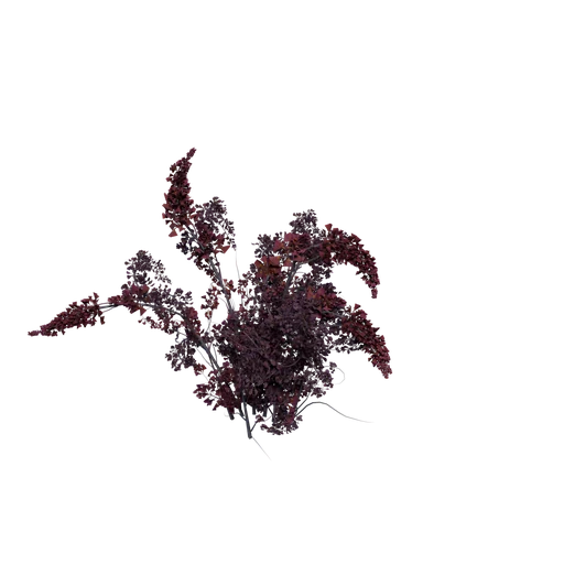 BloomingStorm C