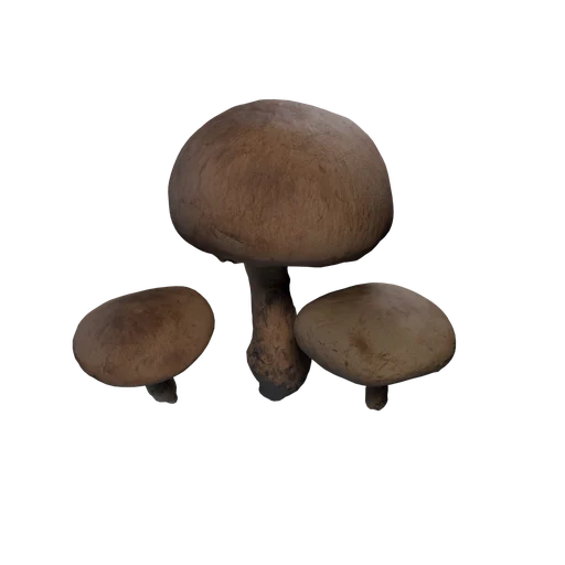 SM MushroomB