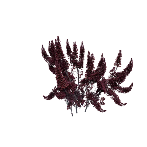 BloomingStorm B