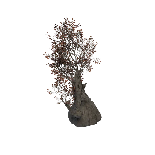 SM AshPine A