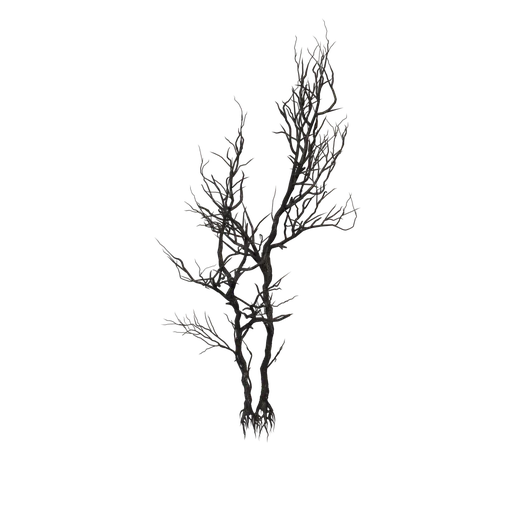 Dead tree 01
