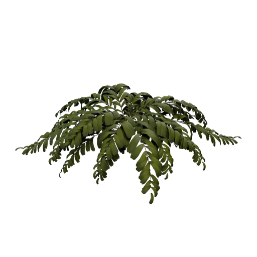 Plant01 SM