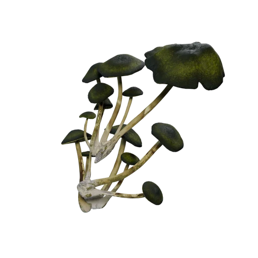 WallFungus Green SM