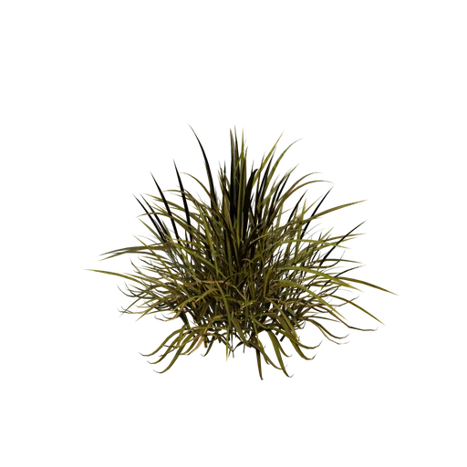 Shrub 01