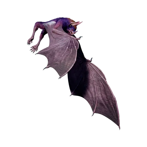 Desmodus