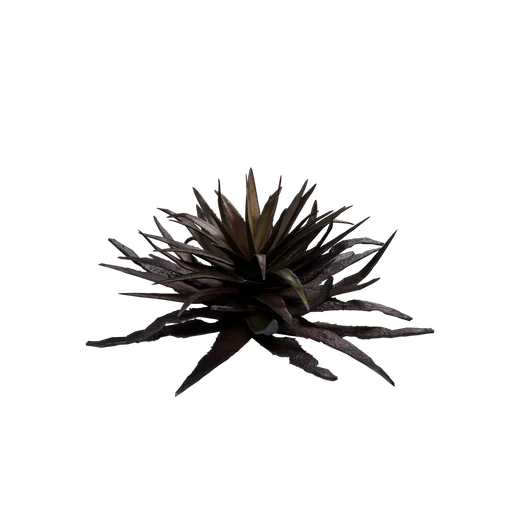 SM EXT WL SucculentA