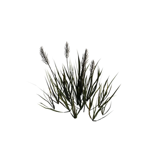 Grass03 SM