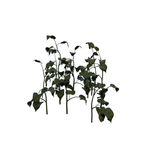 FalseLily cluster01