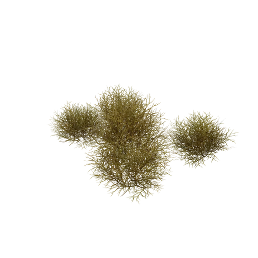PineBush Clutter