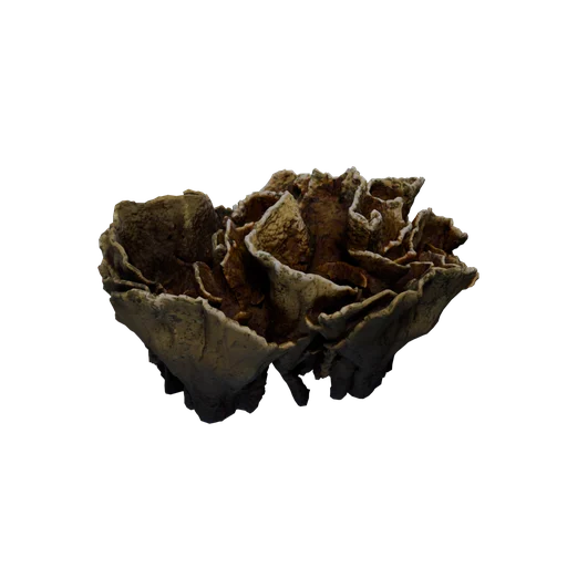 RippleSponge