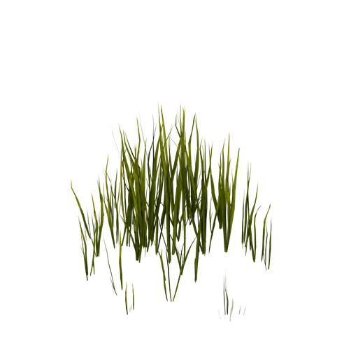 BiolumGrass