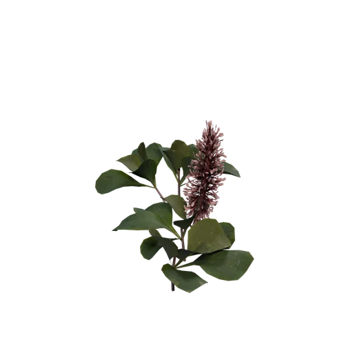 ArticWillow C