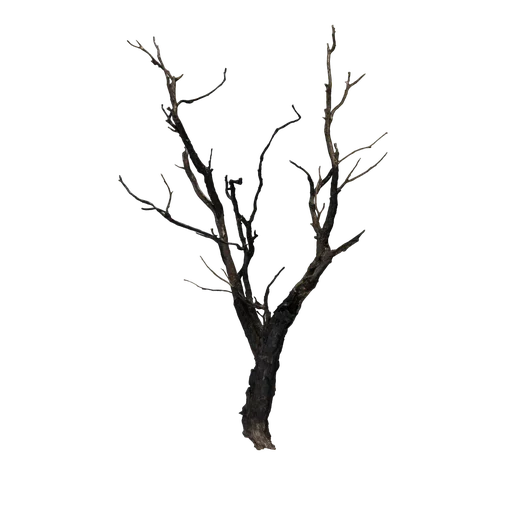 SM BurnedTree SE