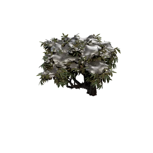 SM SpineyAloe B Snow