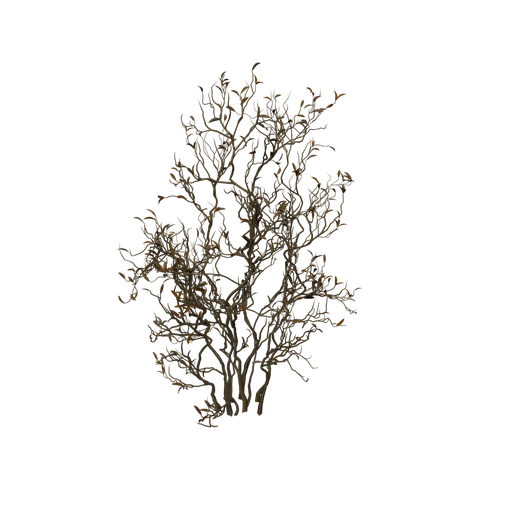 SM GreenHighDesertBush Dead