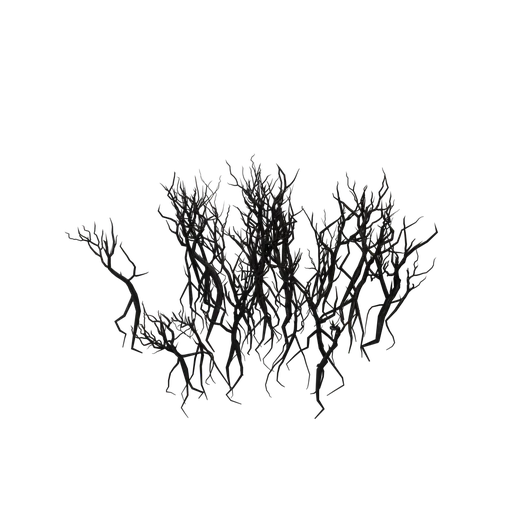 BurntBush02