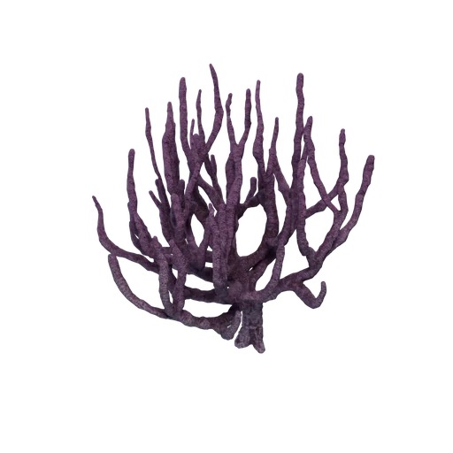 AquaticB