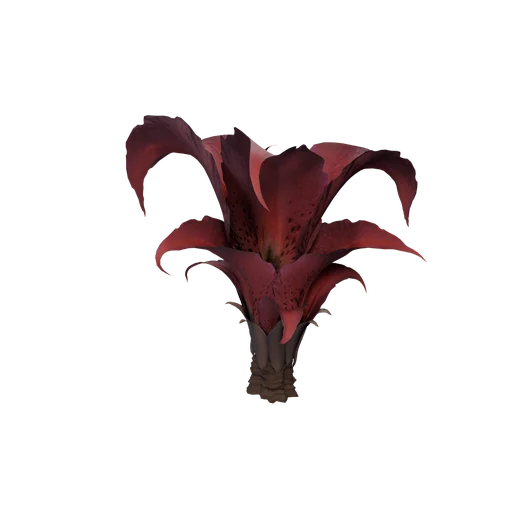 FlosMortis A