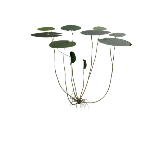 LilyPads