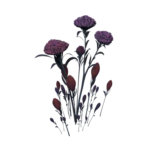 FairyBeds C