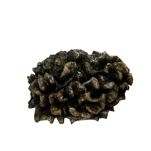 CoralStone-04 C