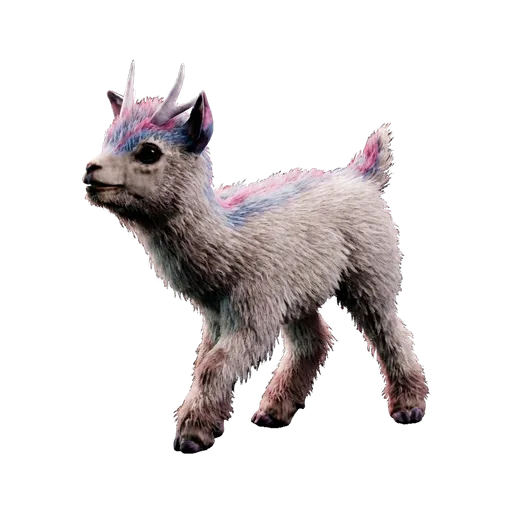 Shinehorn
