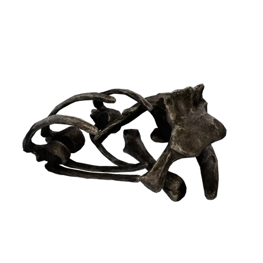 SM RexBonePile 0