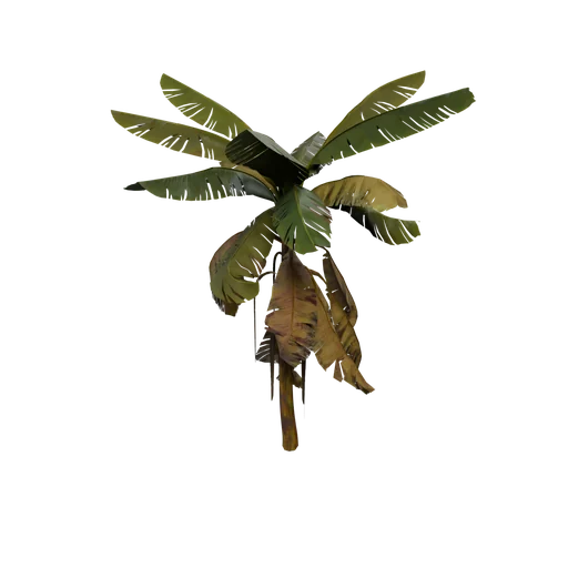 BananaTree SM