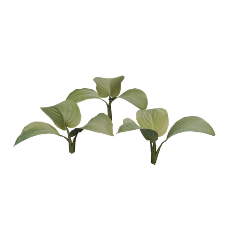 Foliage01 SM
