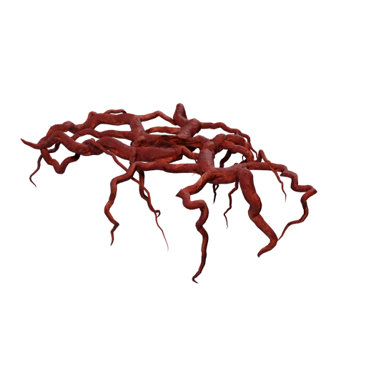 VeinRootsC