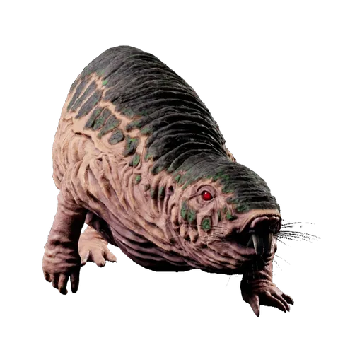 Rolrat