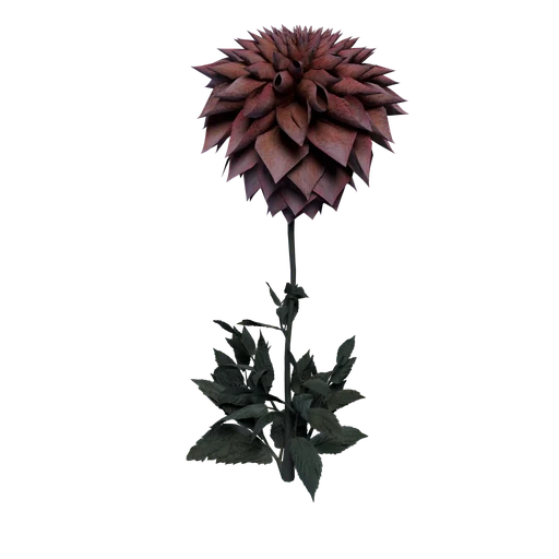 PlantB