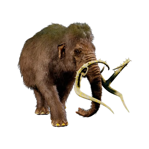 Mamut