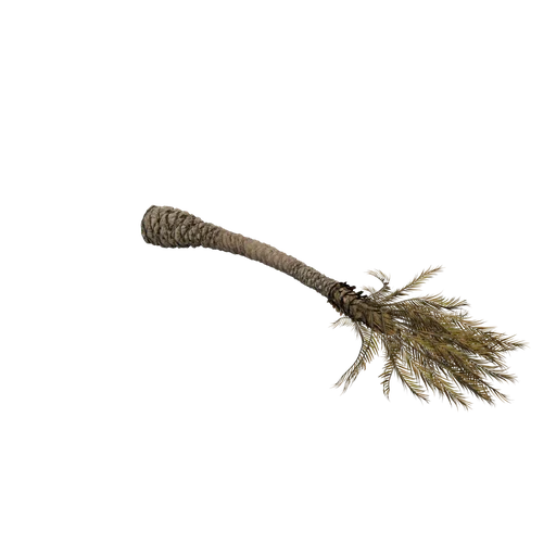 LandedPalm SM